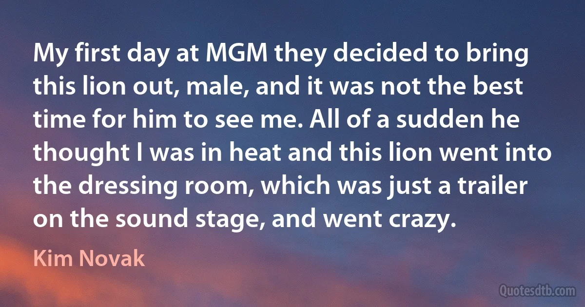 My first day at MGM they decided to bring this lion out, male, and it was not the best time for him to see me. All of a sudden he thought I was in heat and this lion went into the dressing room, which was just a trailer on the sound stage, and went crazy. (Kim Novak)