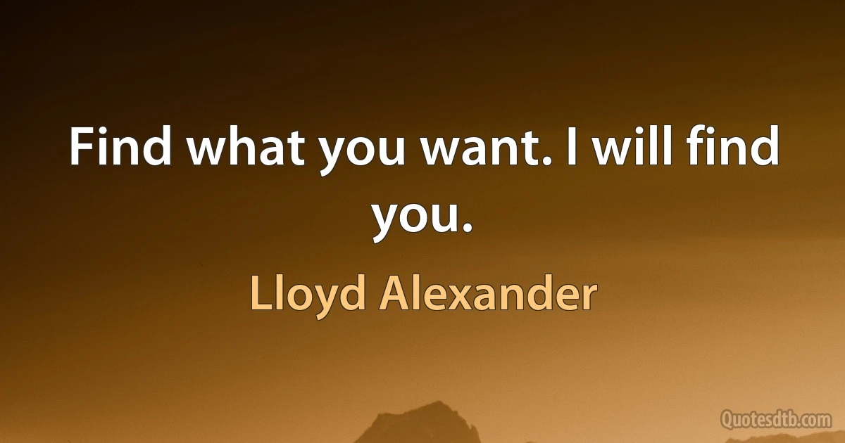 Find what you want. I will find you. (Lloyd Alexander)