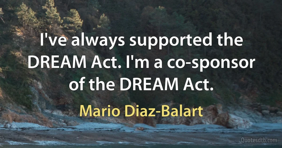 I've always supported the DREAM Act. I'm a co-sponsor of the DREAM Act. (Mario Diaz-Balart)