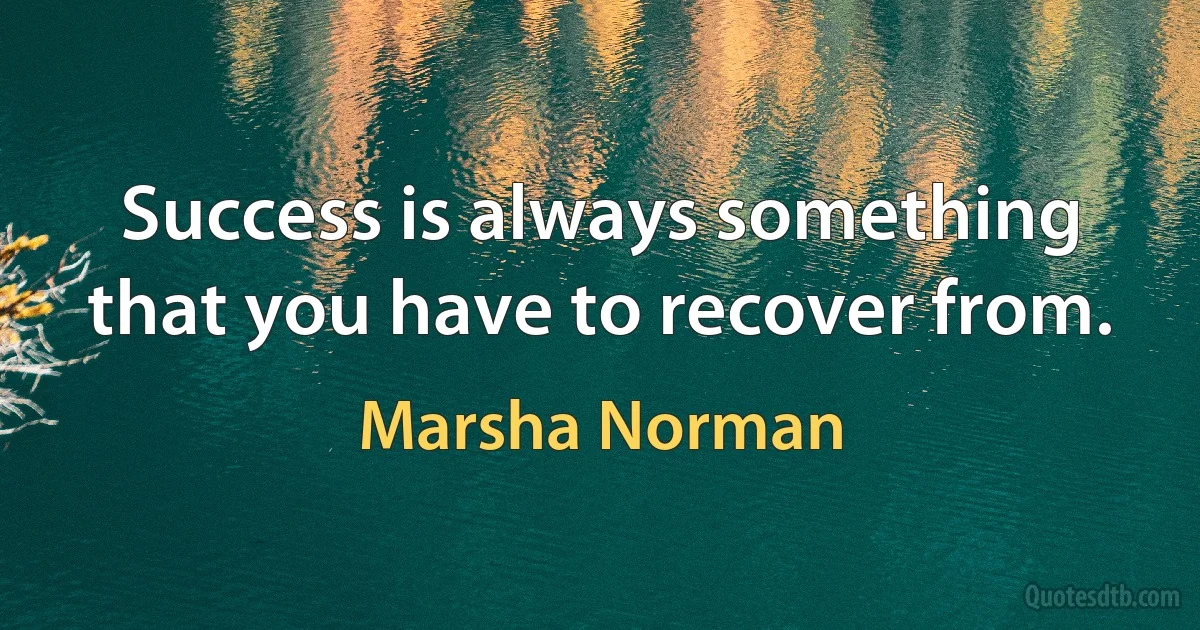 Success is always something that you have to recover from. (Marsha Norman)