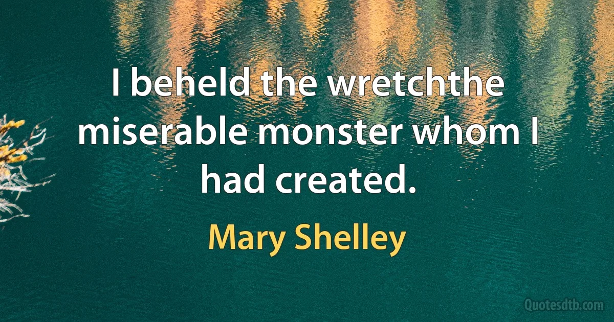 I beheld the wretchthe miserable monster whom I had created. (Mary Shelley)