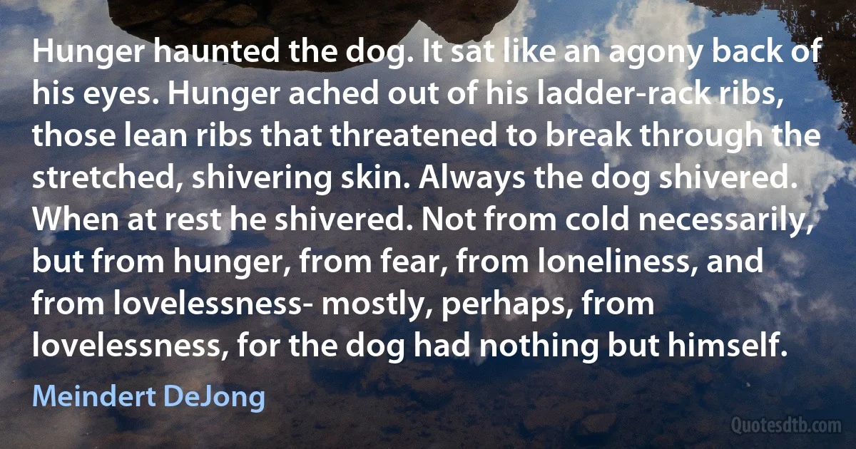 Hunger haunted the dog. It sat like an agony back of his eyes. Hunger ached out of his ladder-rack ribs, those lean ribs that threatened to break through the stretched, shivering skin. Always the dog shivered. When at rest he shivered. Not from cold necessarily, but from hunger, from fear, from loneliness, and from lovelessness- mostly, perhaps, from lovelessness, for the dog had nothing but himself. (Meindert DeJong)