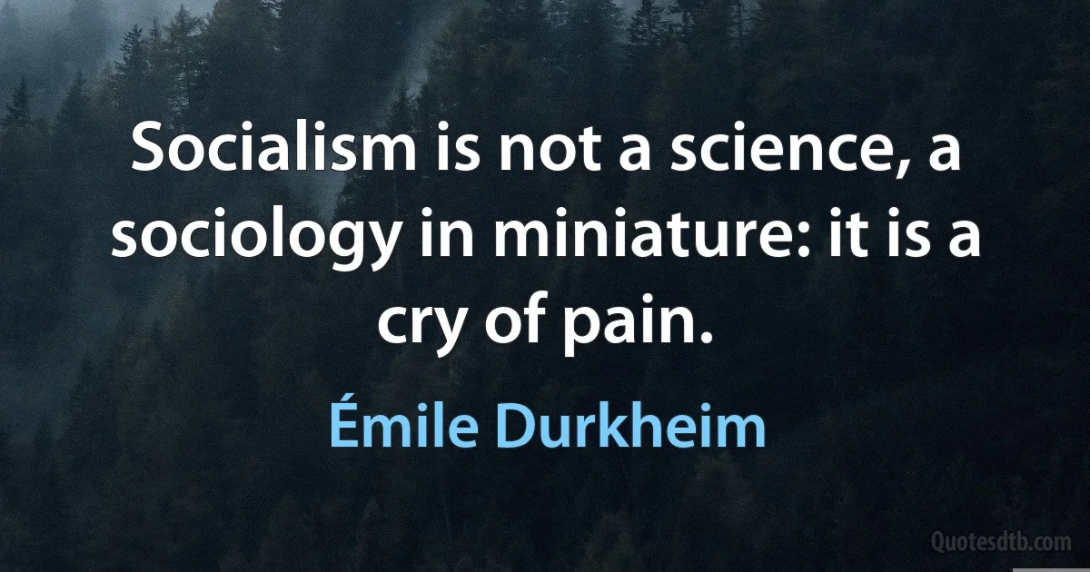 Socialism is not a science, a sociology in miniature: it is a cry of pain. (Émile Durkheim)