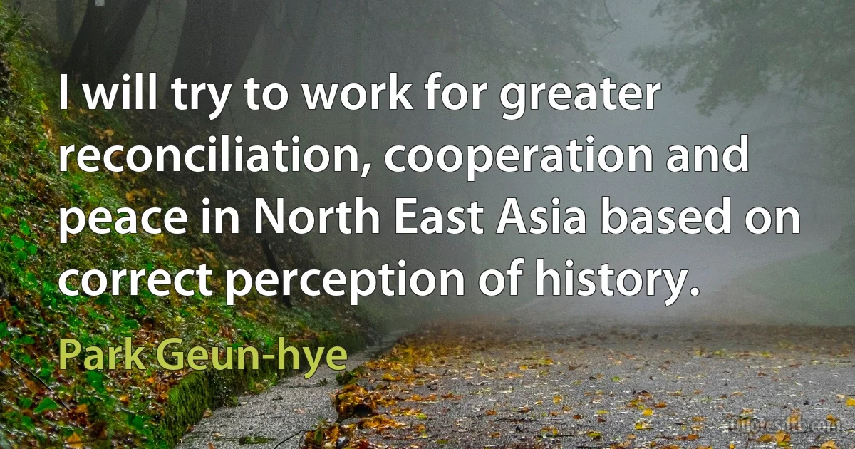 I will try to work for greater reconciliation, cooperation and peace in North East Asia based on correct perception of history. (Park Geun-hye)