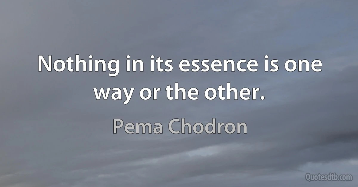 Nothing in its essence is one way or the other. (Pema Chodron)