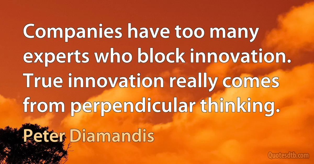 Companies have too many experts who block innovation. True innovation really comes from perpendicular thinking. (Peter Diamandis)