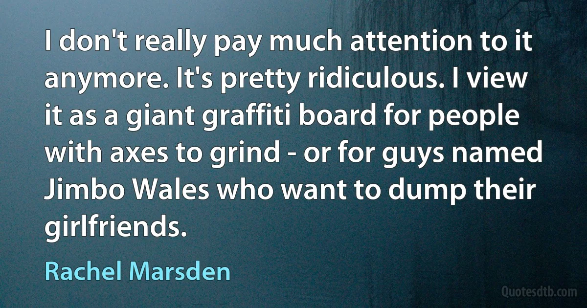 I don't really pay much attention to it anymore. It's pretty ridiculous. I view it as a giant graffiti board for people with axes to grind - or for guys named Jimbo Wales who want to dump their girlfriends. (Rachel Marsden)