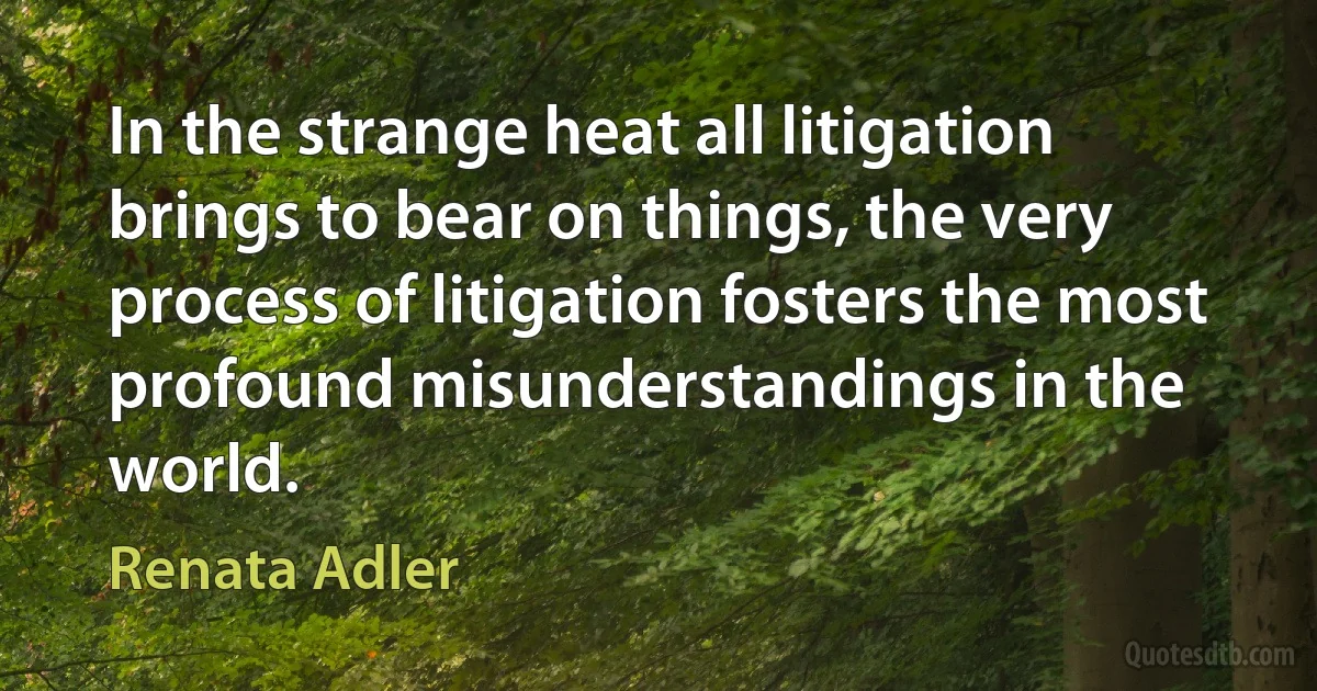 In the strange heat all litigation brings to bear on things, the very process of litigation fosters the most profound misunderstandings in the world. (Renata Adler)