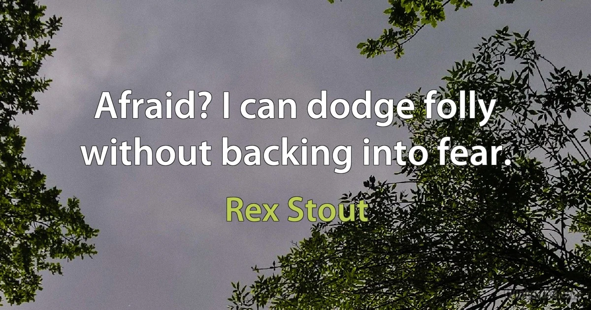 Afraid? I can dodge folly without backing into fear. (Rex Stout)