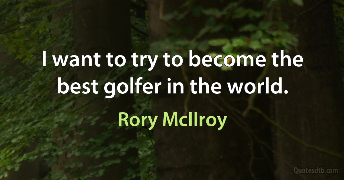 I want to try to become the best golfer in the world. (Rory McIlroy)