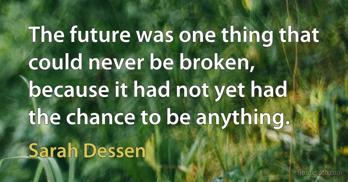 The future was one thing that could never be broken, because it had not yet had the chance to be anything. (Sarah Dessen)