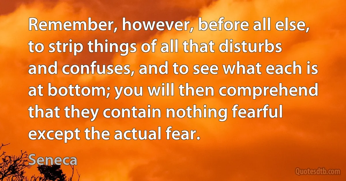 Remember, however, before all else, to strip things of all that disturbs and confuses, and to see what each is at bottom; you will then comprehend that they contain nothing fearful except the actual fear. (Seneca)