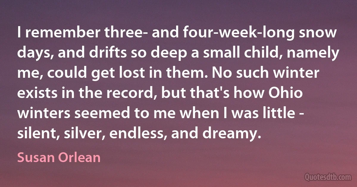 I remember three- and four-week-long snow days, and drifts so deep a small child, namely me, could get lost in them. No such winter exists in the record, but that's how Ohio winters seemed to me when I was little - silent, silver, endless, and dreamy. (Susan Orlean)