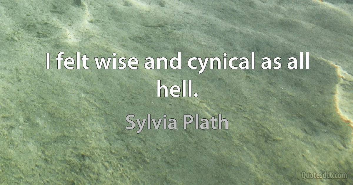 I felt wise and cynical as all hell. (Sylvia Plath)