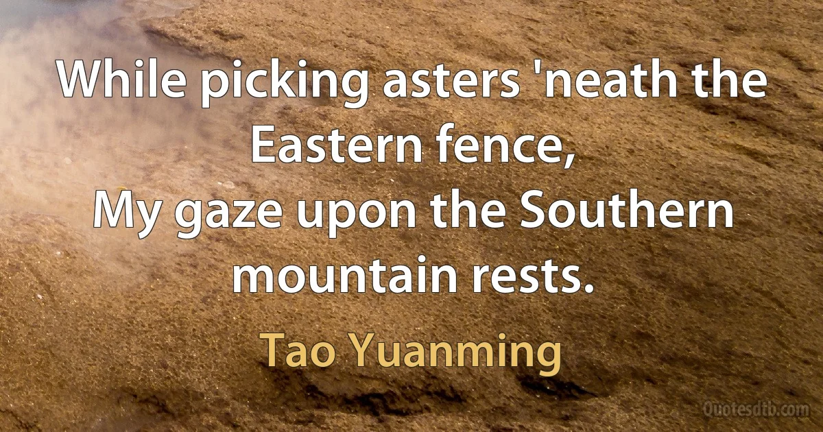 While picking asters 'neath the Eastern fence,
My gaze upon the Southern mountain rests. (Tao Yuanming)