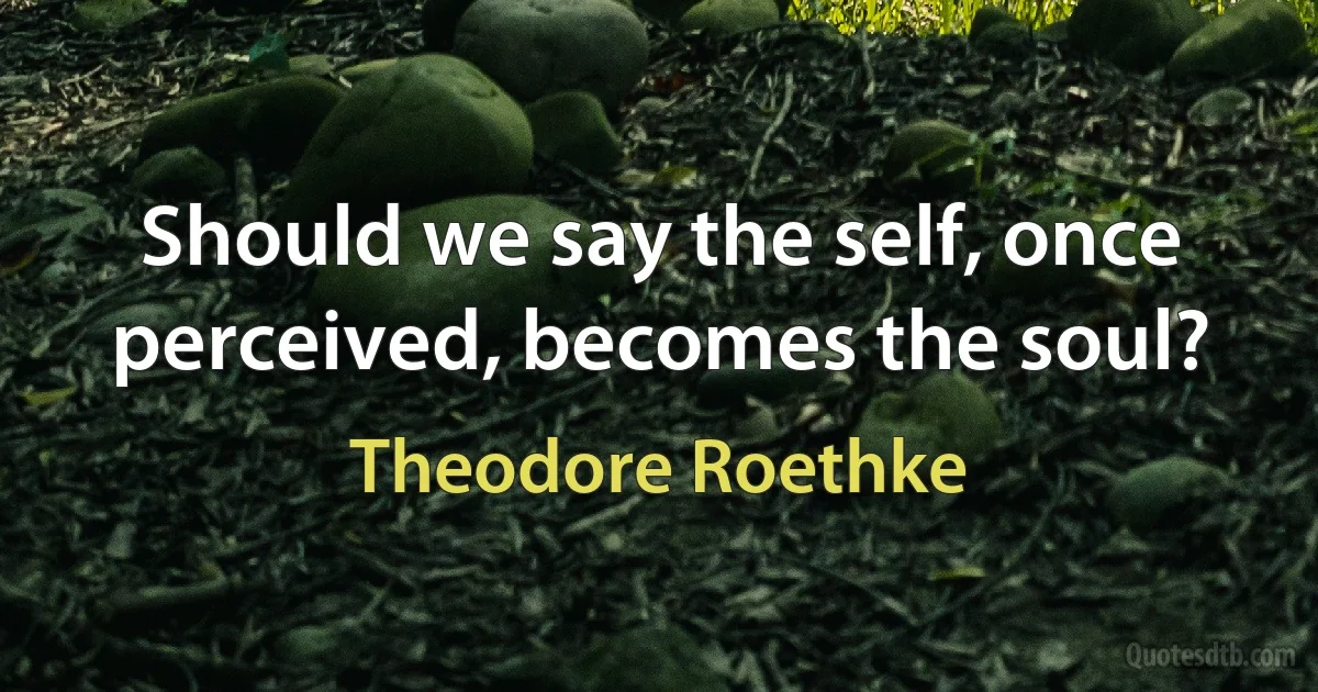 Should we say the self, once perceived, becomes the soul? (Theodore Roethke)