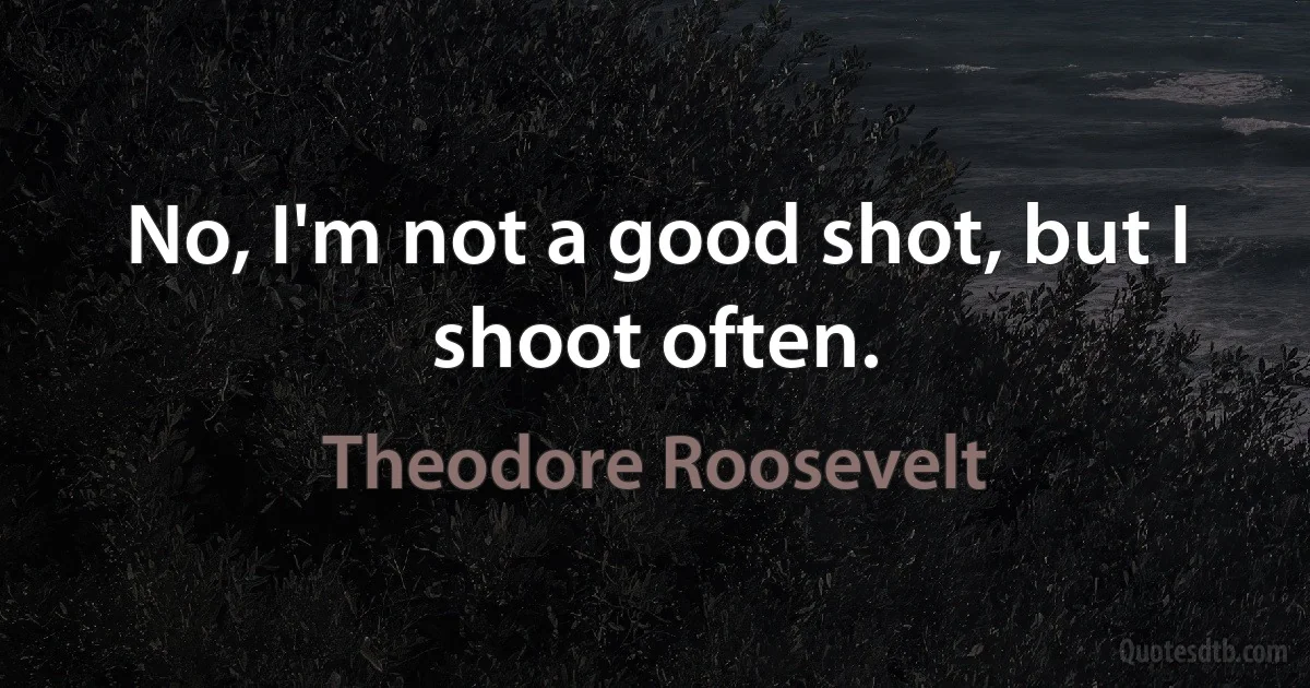 No, I'm not a good shot, but I shoot often. (Theodore Roosevelt)