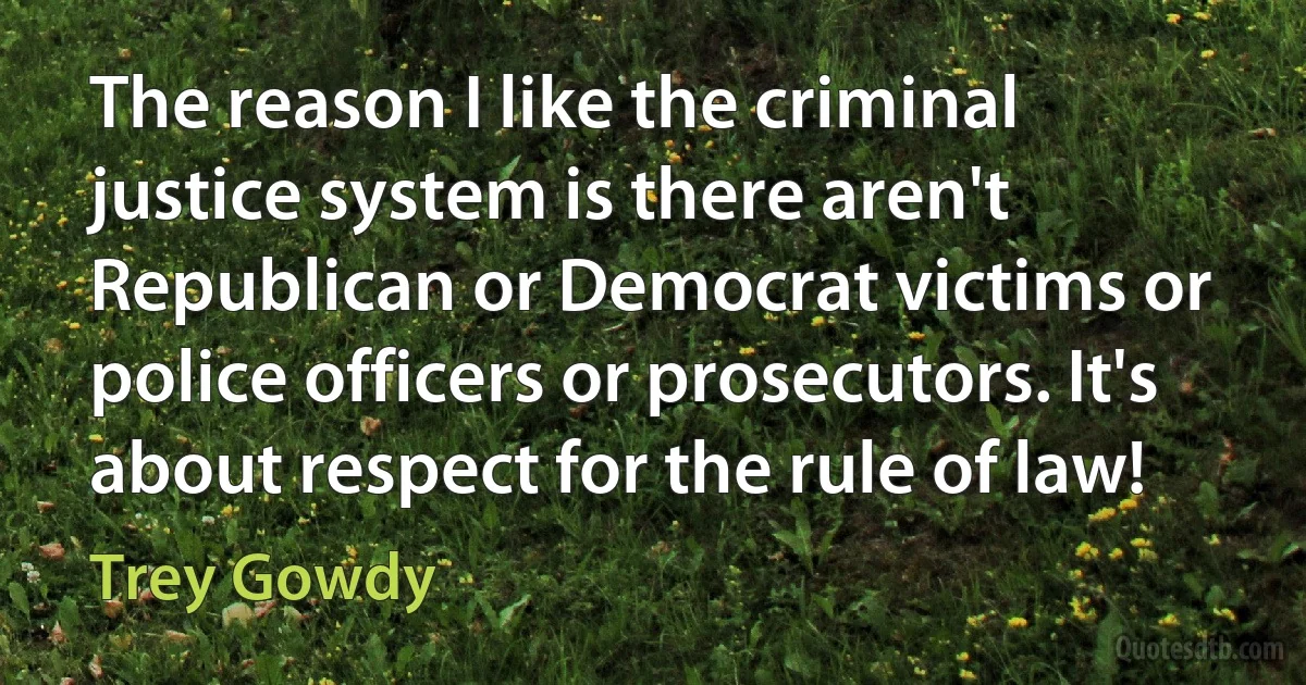 The reason I like the criminal justice system is there aren't Republican or Democrat victims or police officers or prosecutors. It's about respect for the rule of law! (Trey Gowdy)