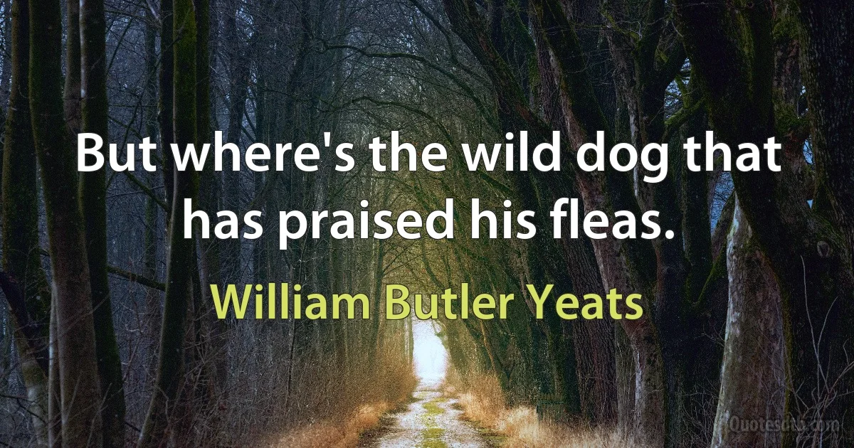 But where's the wild dog that has praised his fleas. (William Butler Yeats)