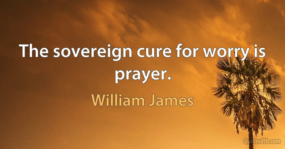 The sovereign cure for worry is prayer. (William James)