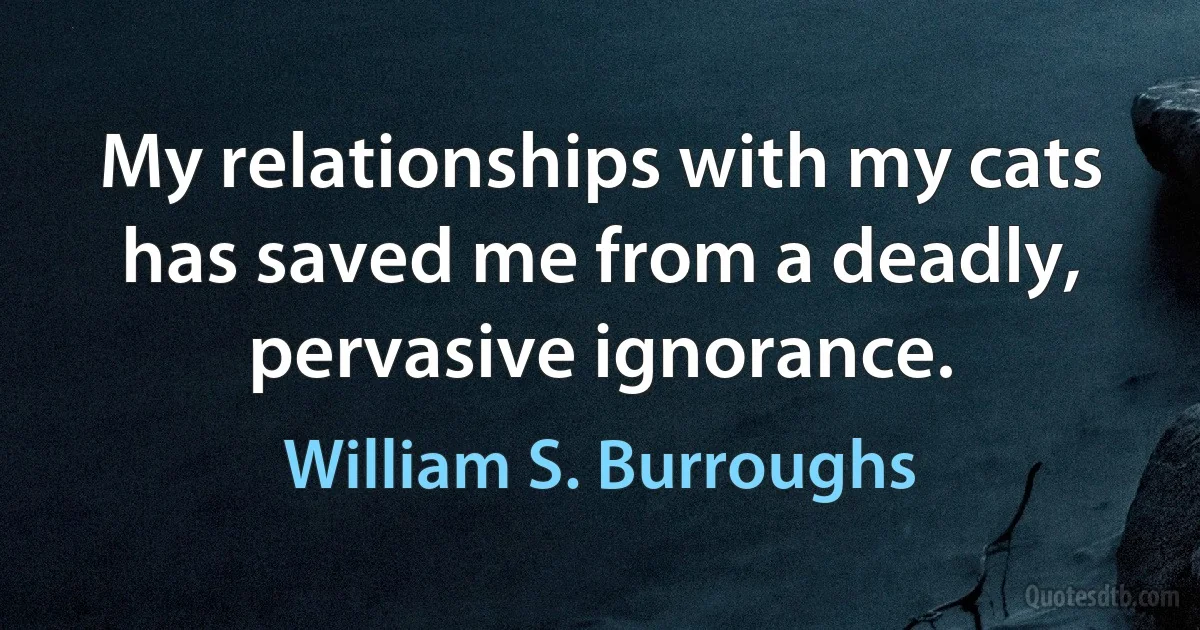 My relationships with my cats has saved me from a deadly, pervasive ignorance. (William S. Burroughs)