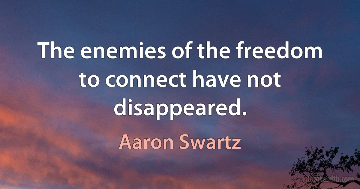 The enemies of the freedom to connect have not disappeared. (Aaron Swartz)