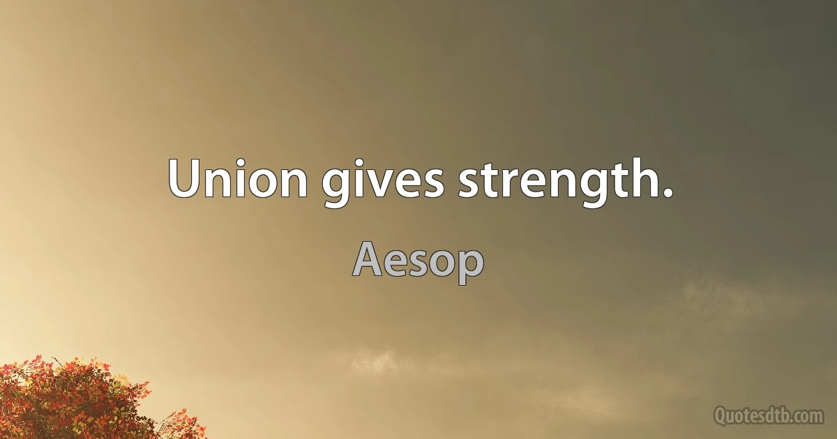 Union gives strength. (Aesop)