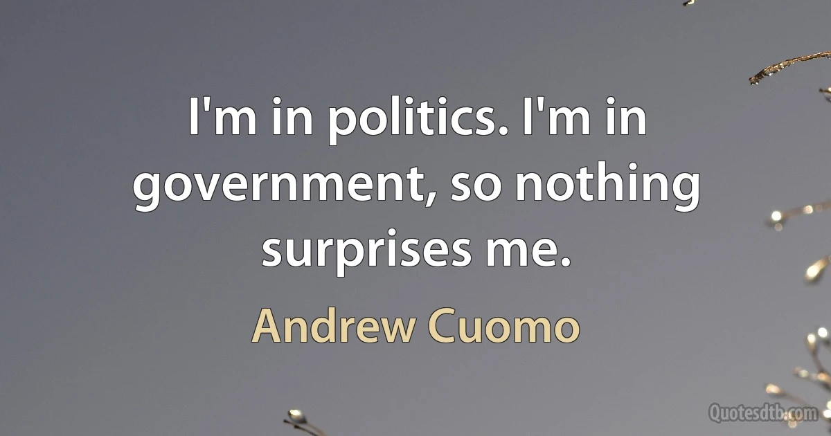 I'm in politics. I'm in government, so nothing surprises me. (Andrew Cuomo)