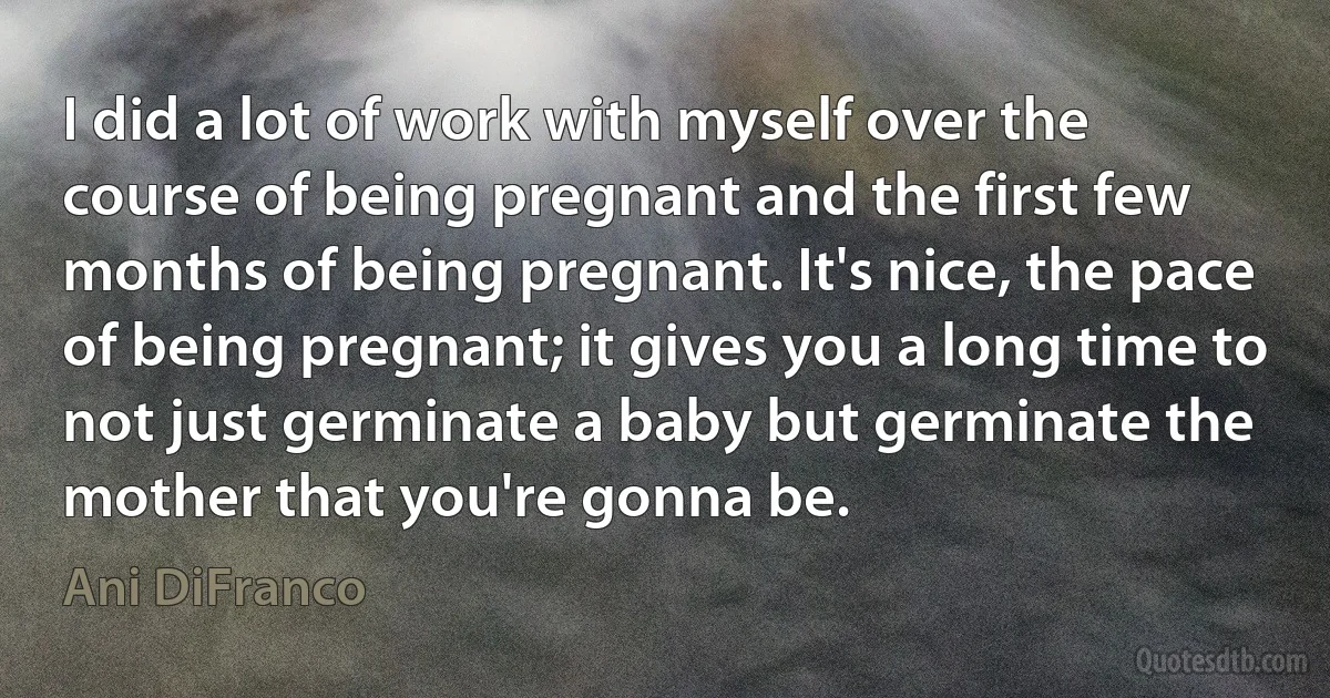 I did a lot of work with myself over the course of being pregnant and the first few months of being pregnant. It's nice, the pace of being pregnant; it gives you a long time to not just germinate a baby but germinate the mother that you're gonna be. (Ani DiFranco)