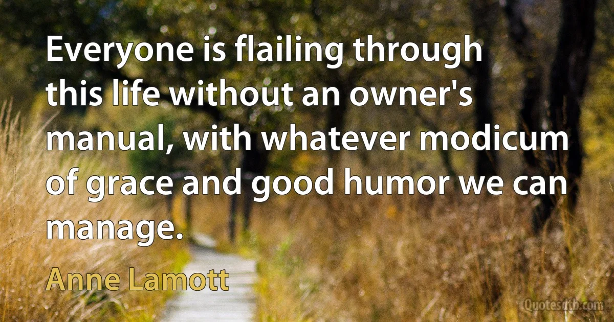 Everyone is flailing through this life without an owner's manual, with whatever modicum of grace and good humor we can manage. (Anne Lamott)