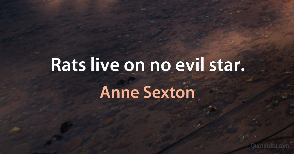 Rats live on no evil star. (Anne Sexton)