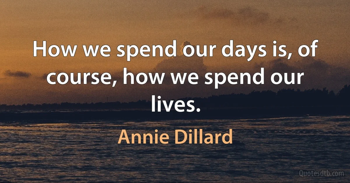 How we spend our days is, of course, how we spend our lives. (Annie Dillard)