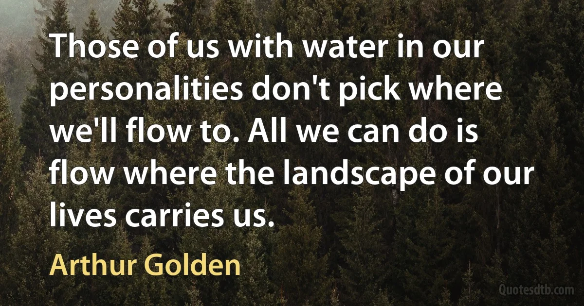 Those of us with water in our personalities don't pick where we'll flow to. All we can do is flow where the landscape of our lives carries us. (Arthur Golden)