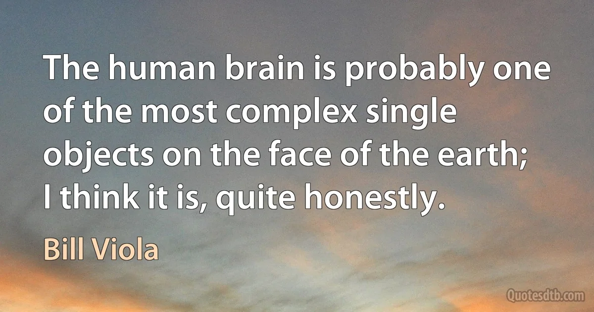 The human brain is probably one of the most complex single objects on the face of the earth; I think it is, quite honestly. (Bill Viola)