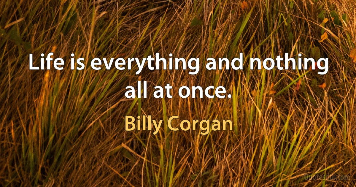 Life is everything and nothing all at once. (Billy Corgan)