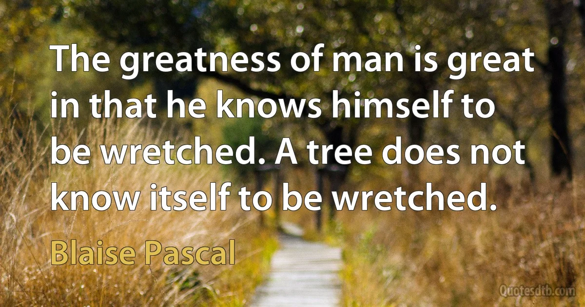 The greatness of man is great in that he knows himself to be wretched. A tree does not know itself to be wretched. (Blaise Pascal)