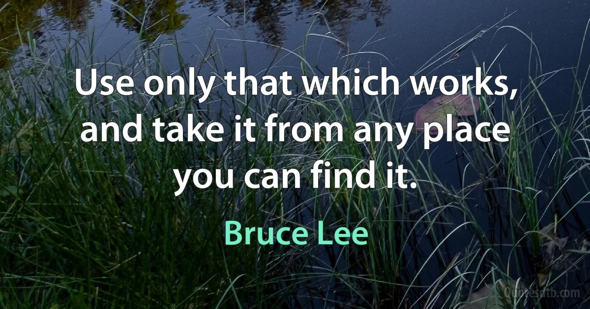 Use only that which works, and take it from any place you can find it. (Bruce Lee)