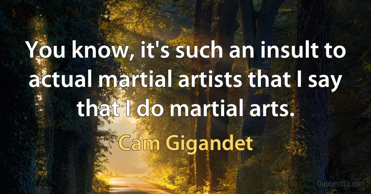 You know, it's such an insult to actual martial artists that I say that I do martial arts. (Cam Gigandet)