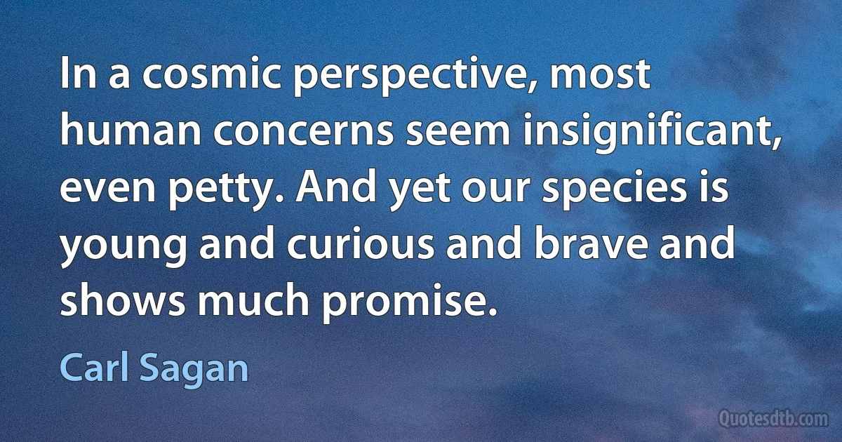 In a cosmic perspective, most human concerns seem insignificant, even petty. And yet our species is young and curious and brave and shows much promise. (Carl Sagan)