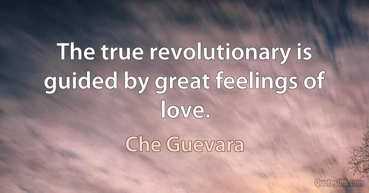 The true revolutionary is guided by great feelings of love. (Che Guevara)