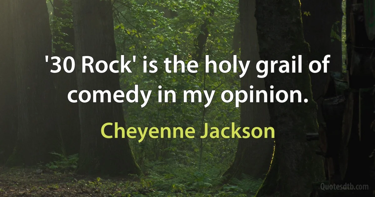 '30 Rock' is the holy grail of comedy in my opinion. (Cheyenne Jackson)