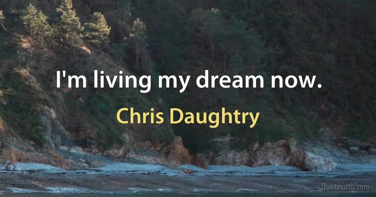 I'm living my dream now. (Chris Daughtry)