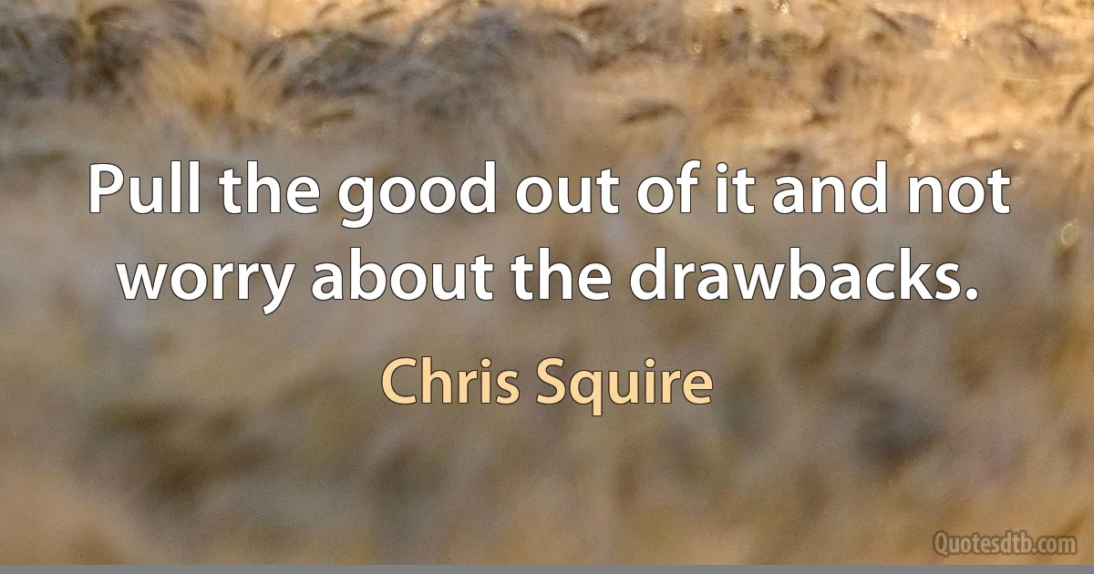 Pull the good out of it and not worry about the drawbacks. (Chris Squire)