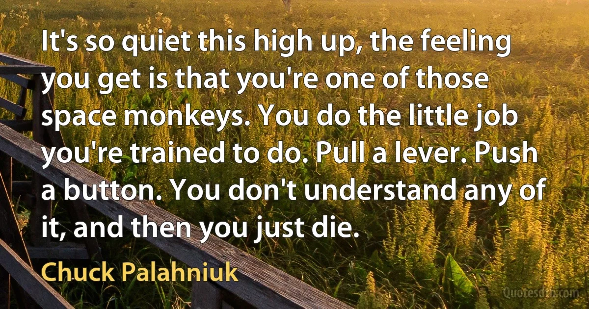 It's so quiet this high up, the feeling you get is that you're one of those space monkeys. You do the little job you're trained to do. Pull a lever. Push a button. You don't understand any of it, and then you just die. (Chuck Palahniuk)