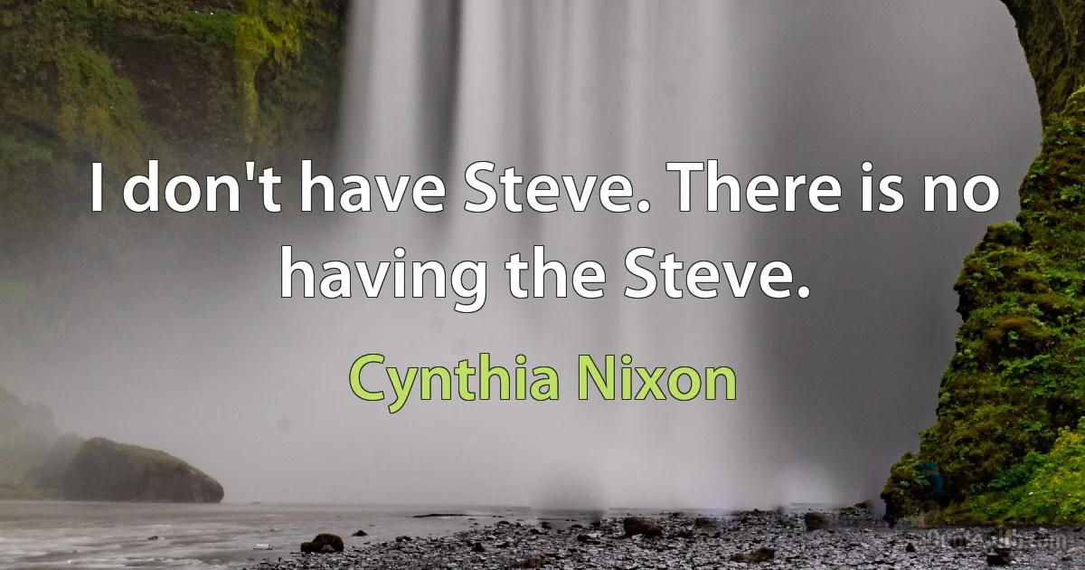 I don't have Steve. There is no having the Steve. (Cynthia Nixon)