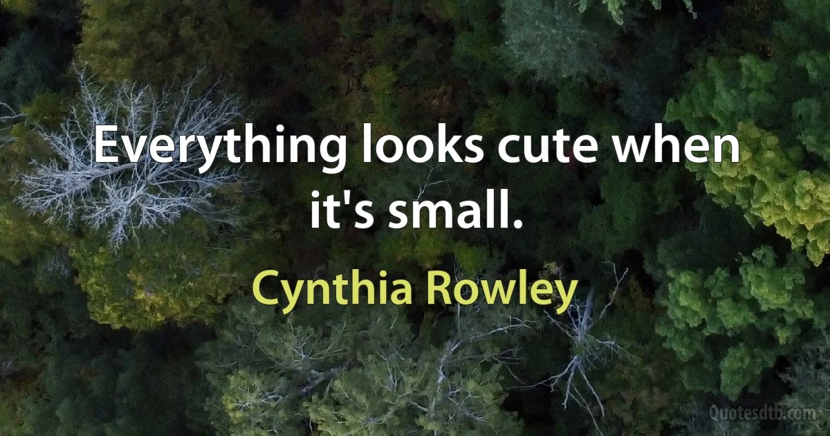 Everything looks cute when it's small. (Cynthia Rowley)