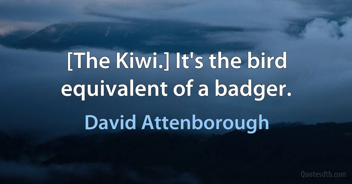 [The Kiwi.] It's the bird equivalent of a badger. (David Attenborough)