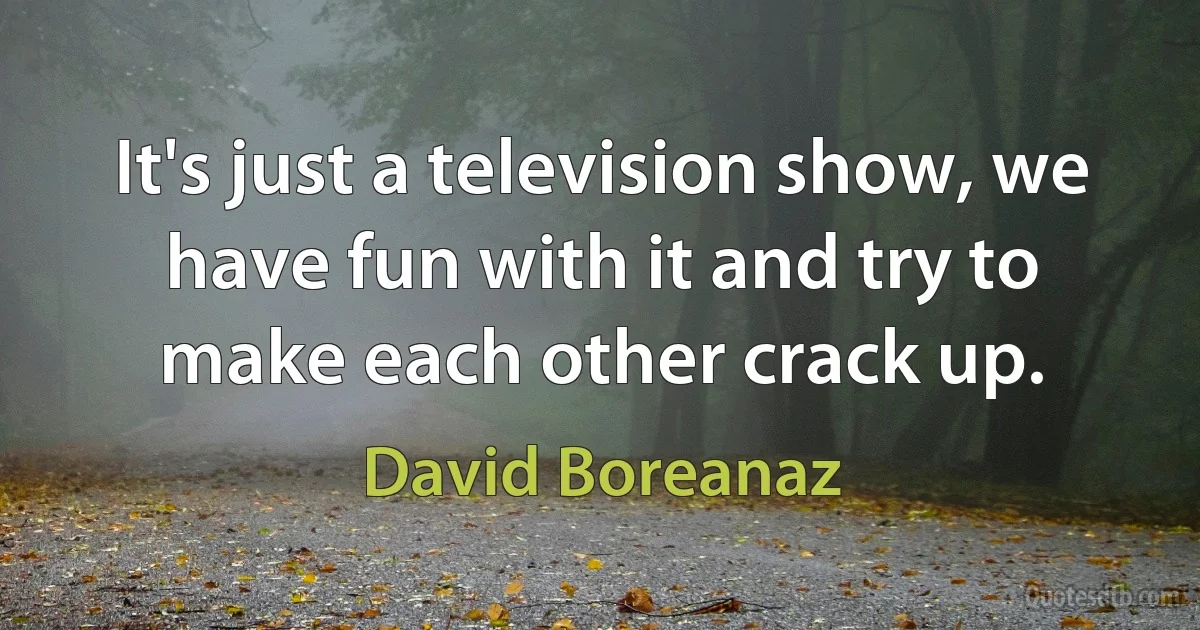 It's just a television show, we have fun with it and try to make each other crack up. (David Boreanaz)