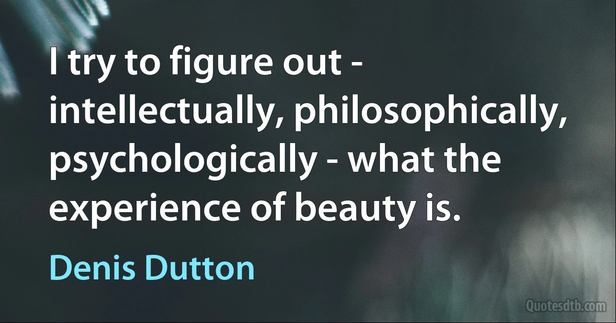 I try to figure out - intellectually, philosophically, psychologically - what the experience of beauty is. (Denis Dutton)