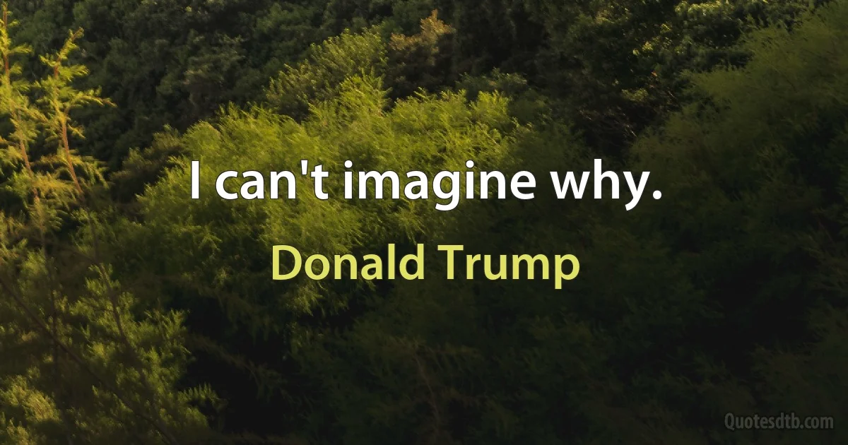 I can't imagine why. (Donald Trump)